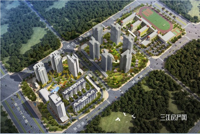 碧桂园·时代之光.jpg