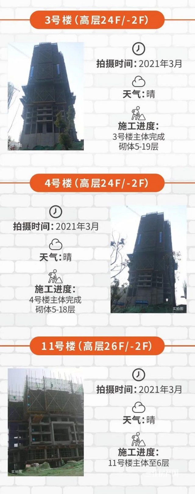 1 - 副本 - 副本 - 副本.jpg