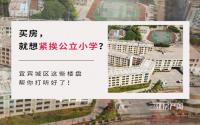 买房就想紧挨公立小学？宜宾城区这些盘，帮你打听好了！