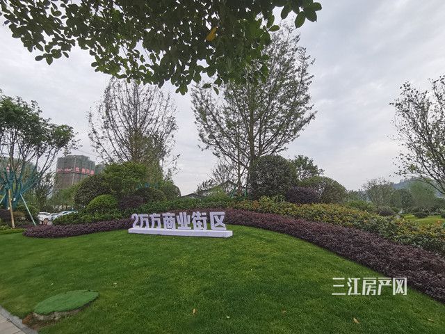 IMG_20210511_094219_副本.jpg
