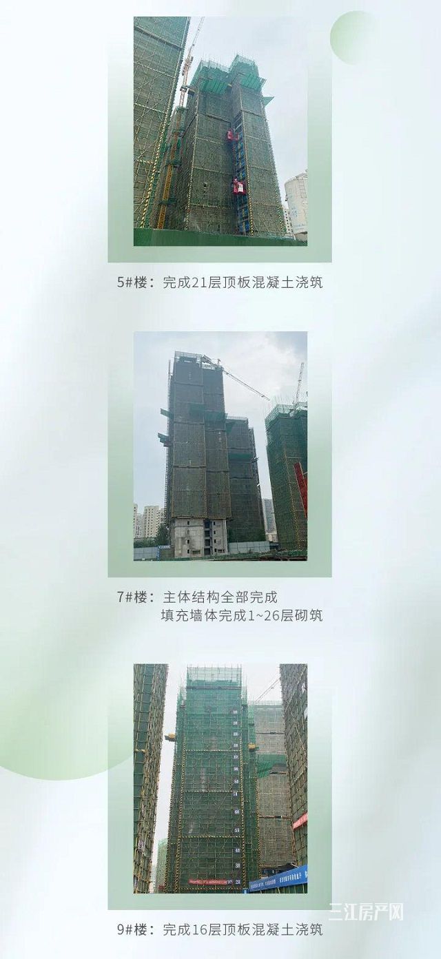 1正黄2微信图片_20210524164721.jpg