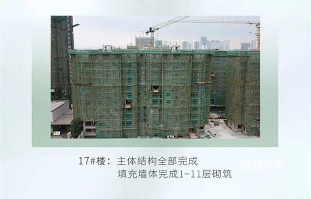 1正黄3微信图片_20210524164741_副本.jpg
