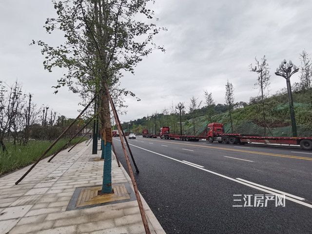 IMG_20210603_110148_副本.jpg