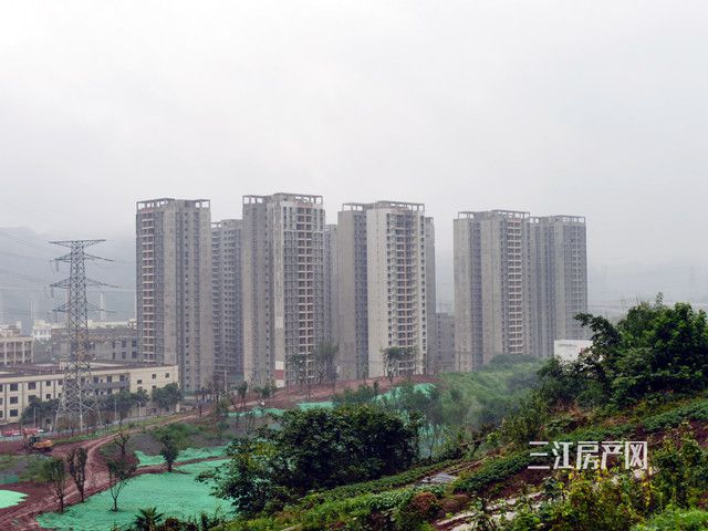 IMG_20210609_083810_副本.jpg