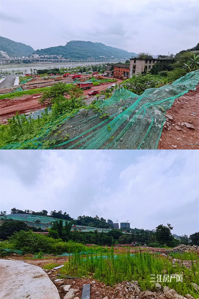 tandi _150231_副本.jpg