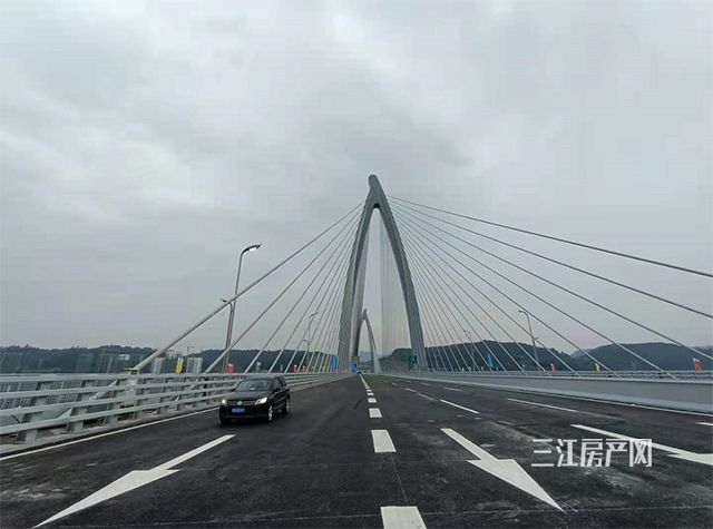 6562596.jpg
