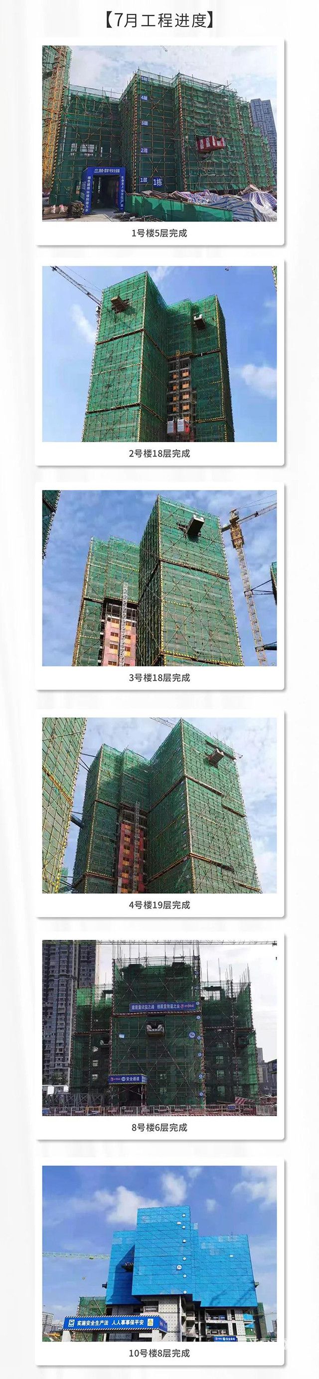 鲁能1_副本.jpg