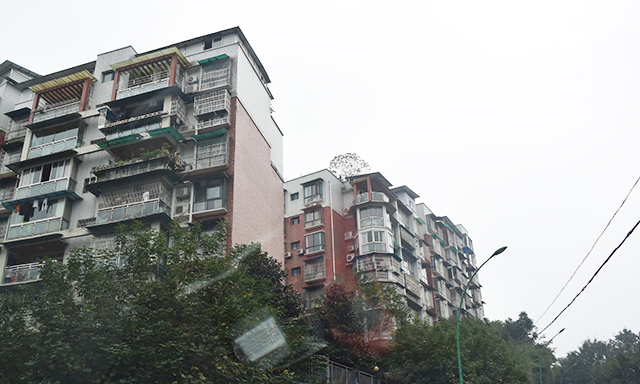 DSC_2164.jpg