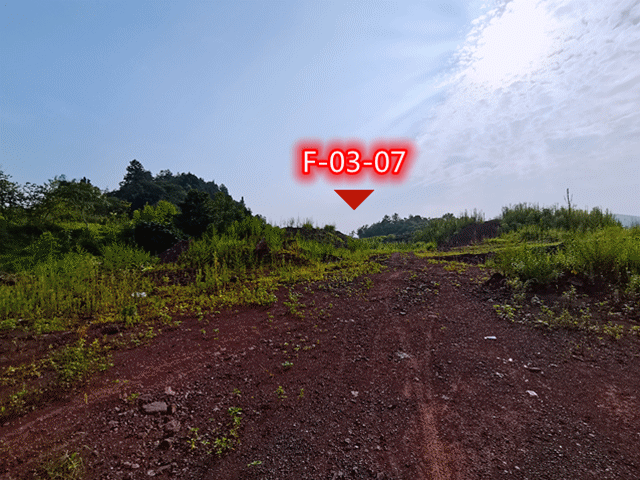 IMG_20210721_084314_副本.gif