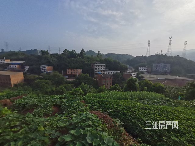 IMG_20210721_081804_副本.jpg