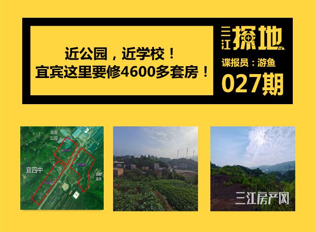 三江探地最新_副本岷江新区_副本_副本.jpg