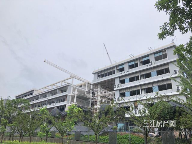 西华大学.jpg
