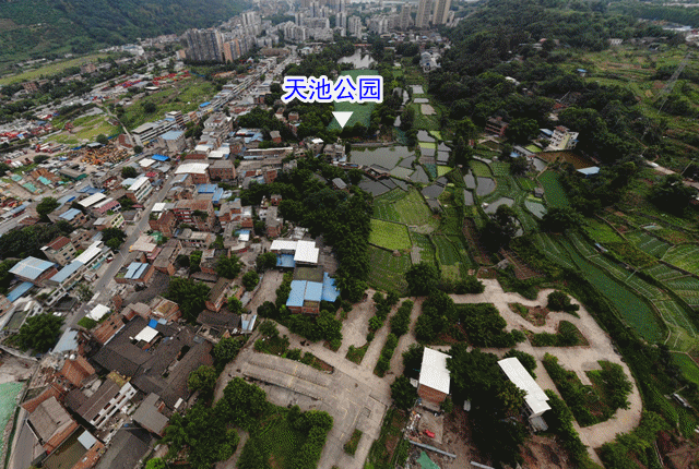 QQ图片20210824161139_副本.gif