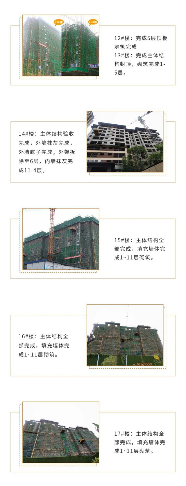 正黄2.jpg