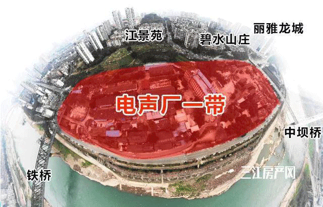 拍地1.gif