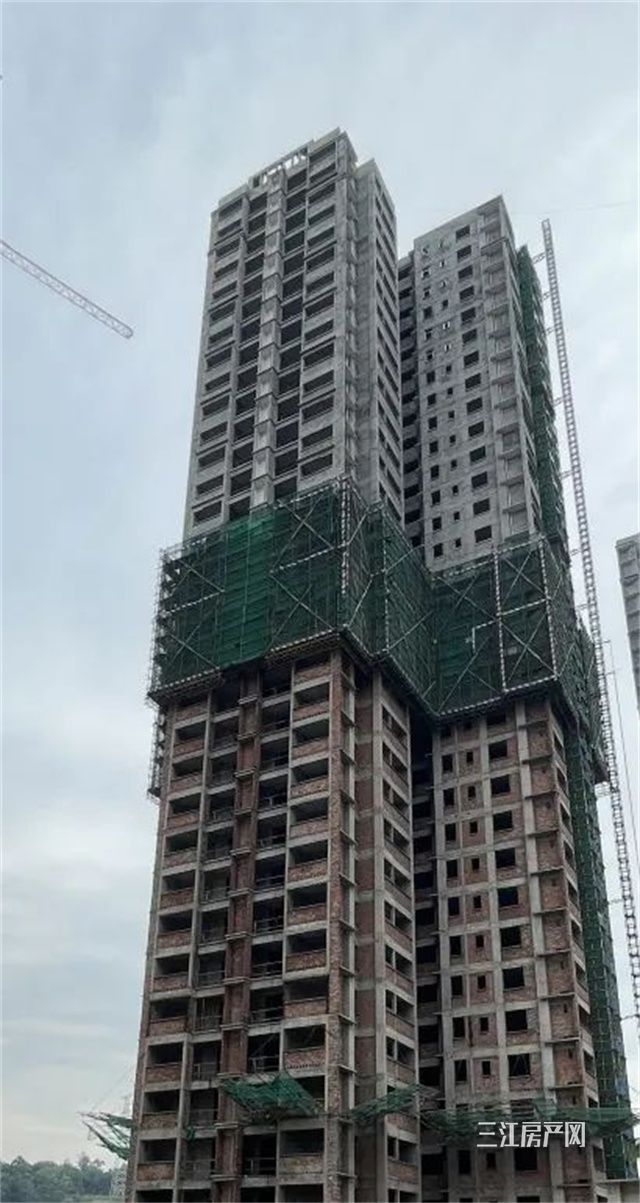 微信图片_20210910090500梦想n+4.jpg