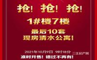 最后10套！成中·紫金广场现房清水公寓明天开售