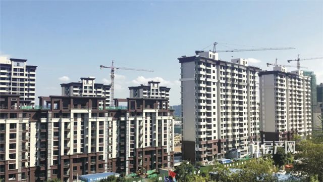 龙栖湾.webp.jpg
