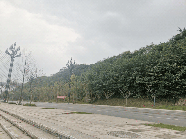 06块地动图.gif