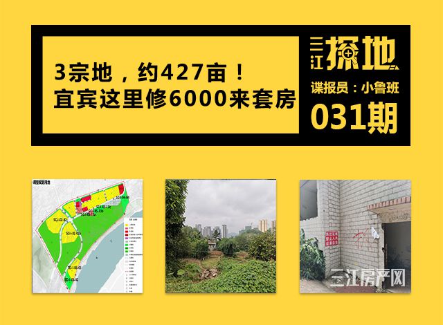 探地2.jpg