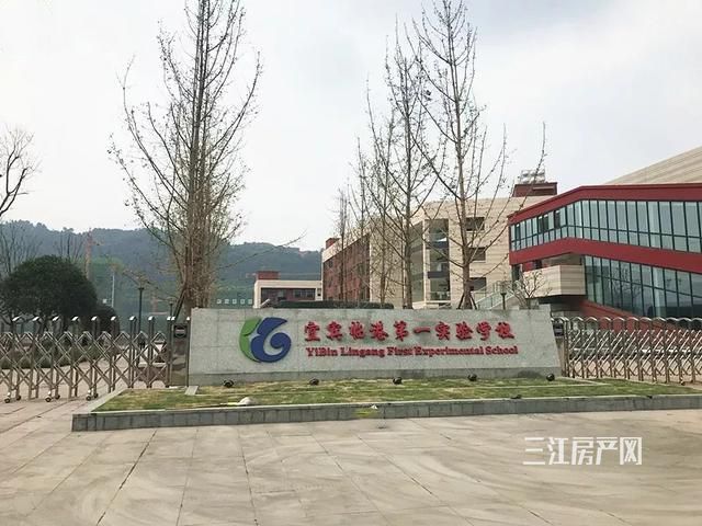 临港实验小学.jpg