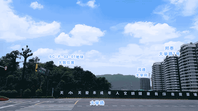 101.gif