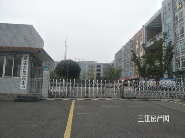 17.jpg