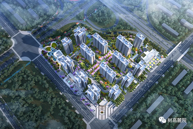 树高麓院.jpg