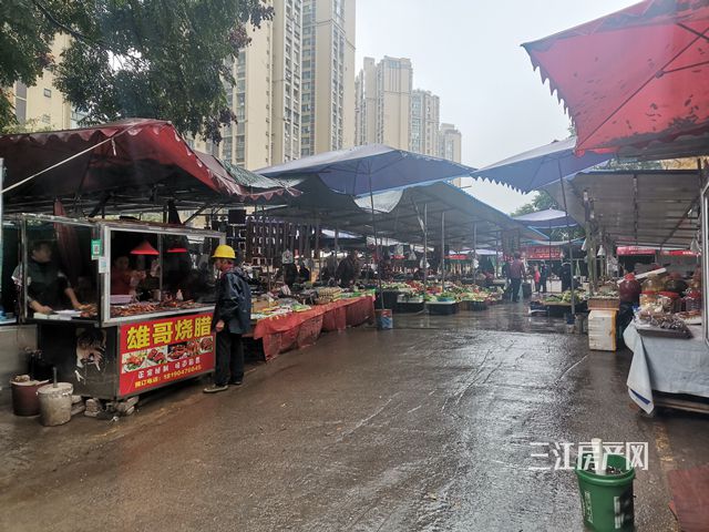 光明路现场.jpg