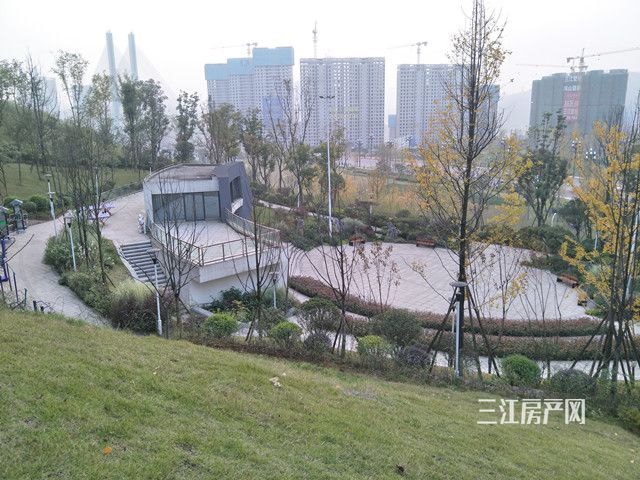 23.jpg