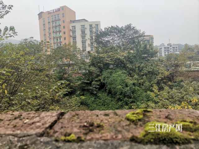 背后用.jpg