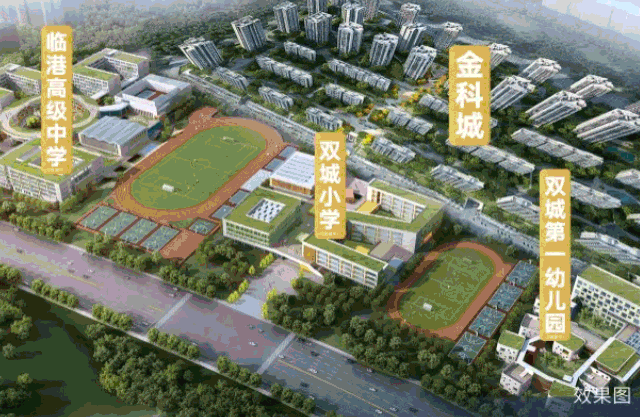 配套动图.gif