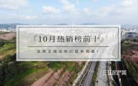宜宾主城10月备案出炉！快看热销前十楼盘有哪些！