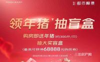 购房送年猪、抽盲盒！远达·都市峰景限时福利来袭