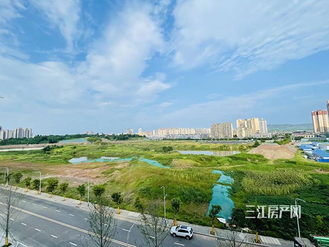 裁剪样板视野.jpg