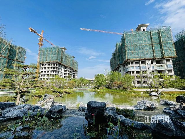 庭院2.jpg