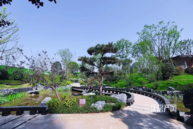 庭院3.png