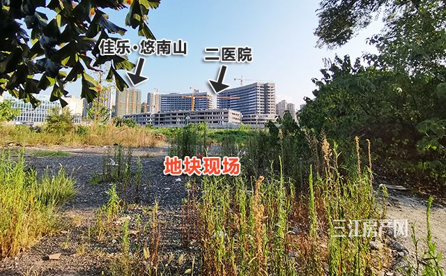 7e46932c10edeb39eccdc2674cf0678.jpg