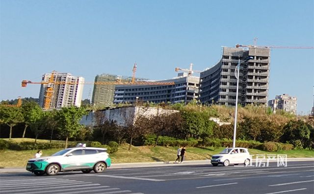 未标题-11.jpg