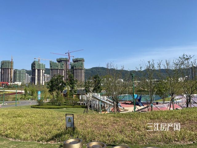 竹文化.jpg