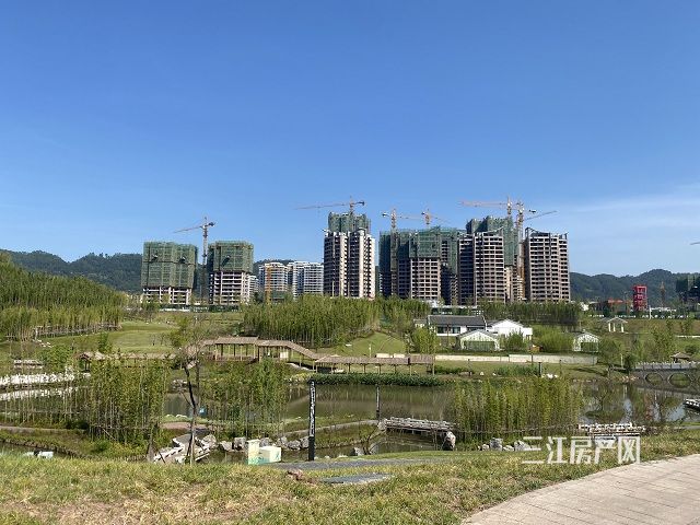 施工进度.jpg