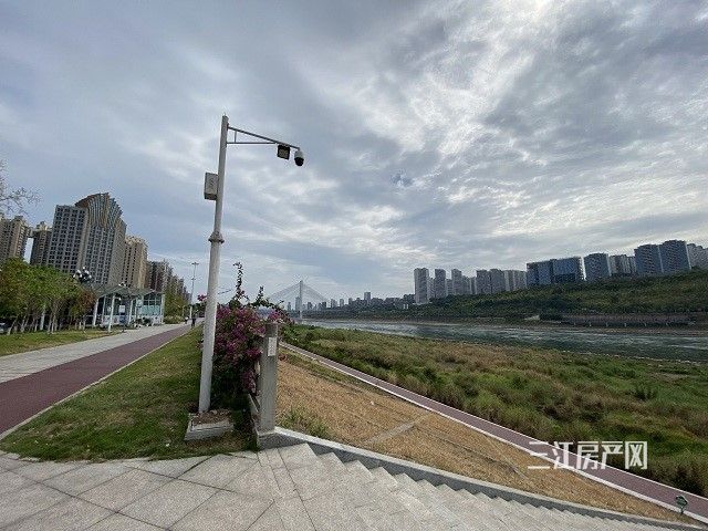 滨江1.jpg