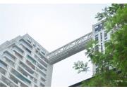 丽雅·江宸