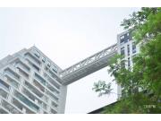 丽雅·江宸