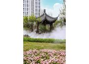 丽雅·江宸