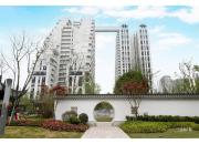 丽雅·江宸