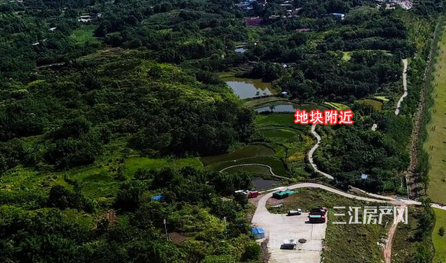 南部新区2.png