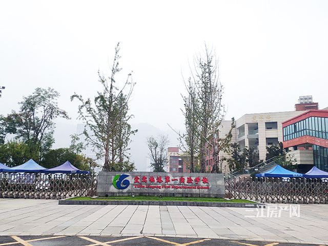 临港第一实验小学640.jpg