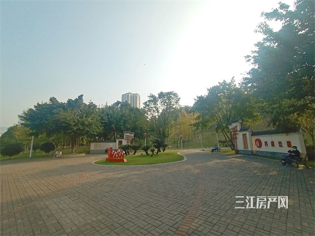 29.jpg