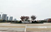 约2.5万㎡商业！宜宾这个大型中央公园，后续打造难度不小？